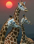 Setting Sun & Giraffe Family